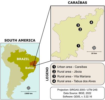 Seroepidemiology of Chagas disease in at-risk individuals in Caraíbas, a city with high endemicity in Bahia State, Brazil